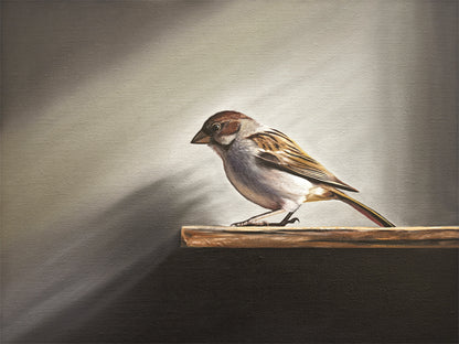 Sparrow