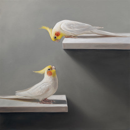 Pair of Cockatiels | Fine Art Print