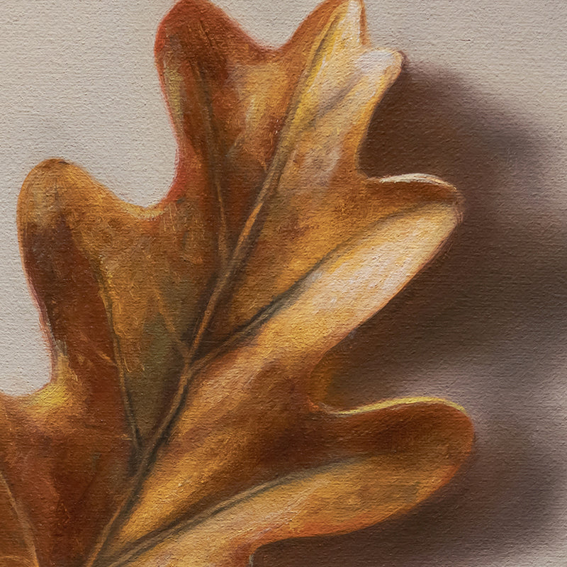 Acorn & Oak Leaf 8" x 8" Original Oil Painting by Lauren Pretorius: an oak leaf and acorn on a beige background