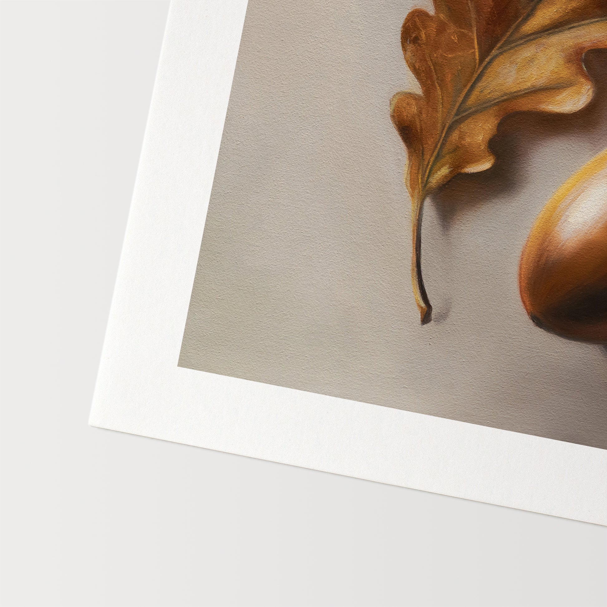 Acorn & Oak Leaf Fine Art Print by Lauren Pretorius: an oak leaf and acorn on a beige background