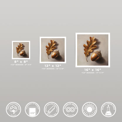 Three square fine art prints of an acorn and oak leaf, varying in size from 8x8 to 16x16 inches.