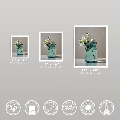 Three Apple Blossoms fine art prints in varying sizes, featuring white flowers in a blue mason jar.