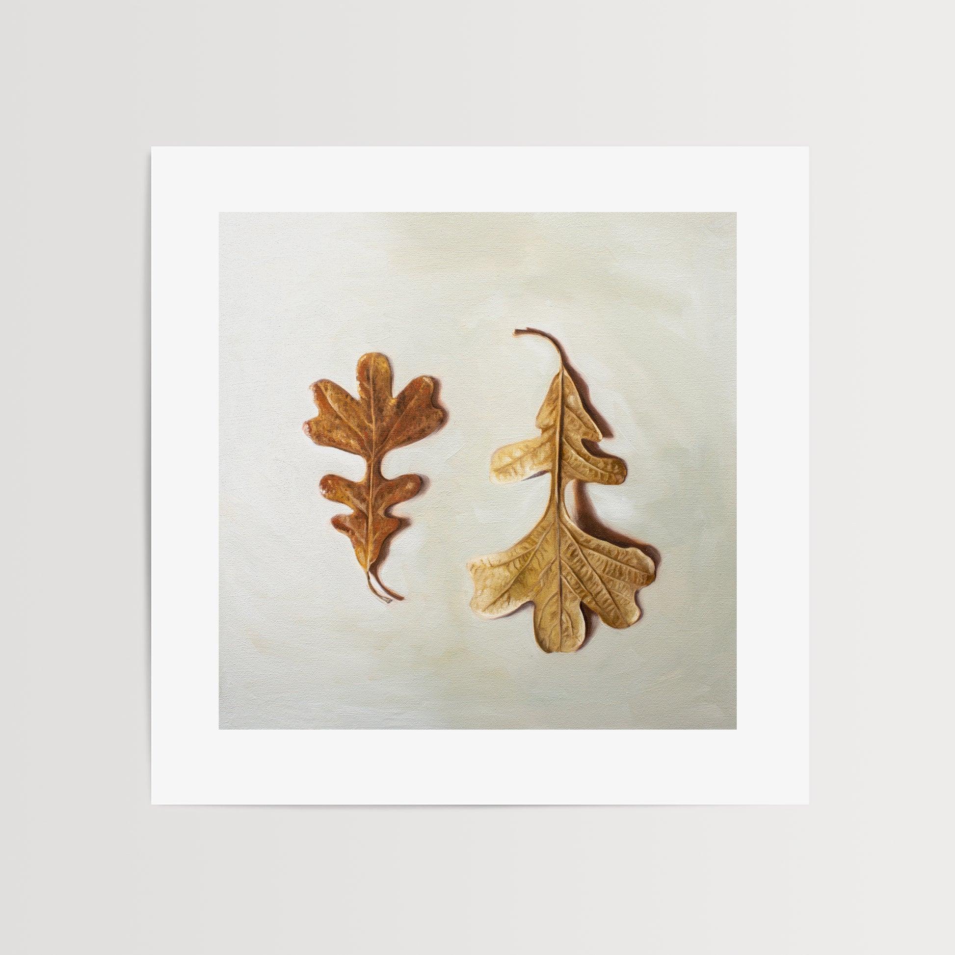 Autumn Oak Tree Leaves Fine Art Print by Lauren Pretorius: a duo of Oak Tree leaves laying on a light surface. One of the leaves faces upwards, while the other is flipped over and upside down.