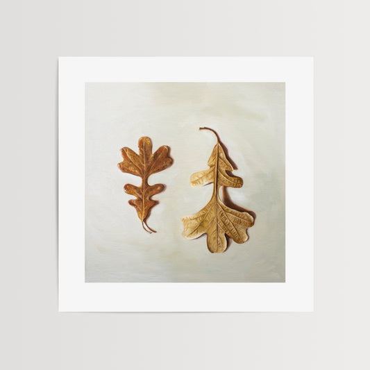 Autumn Oak Tree Leaves Fine Art Print by Lauren Pretorius: a duo of Oak Tree leaves laying on a light surface. One of the leaves faces upwards, while the other is flipped over and upside down.