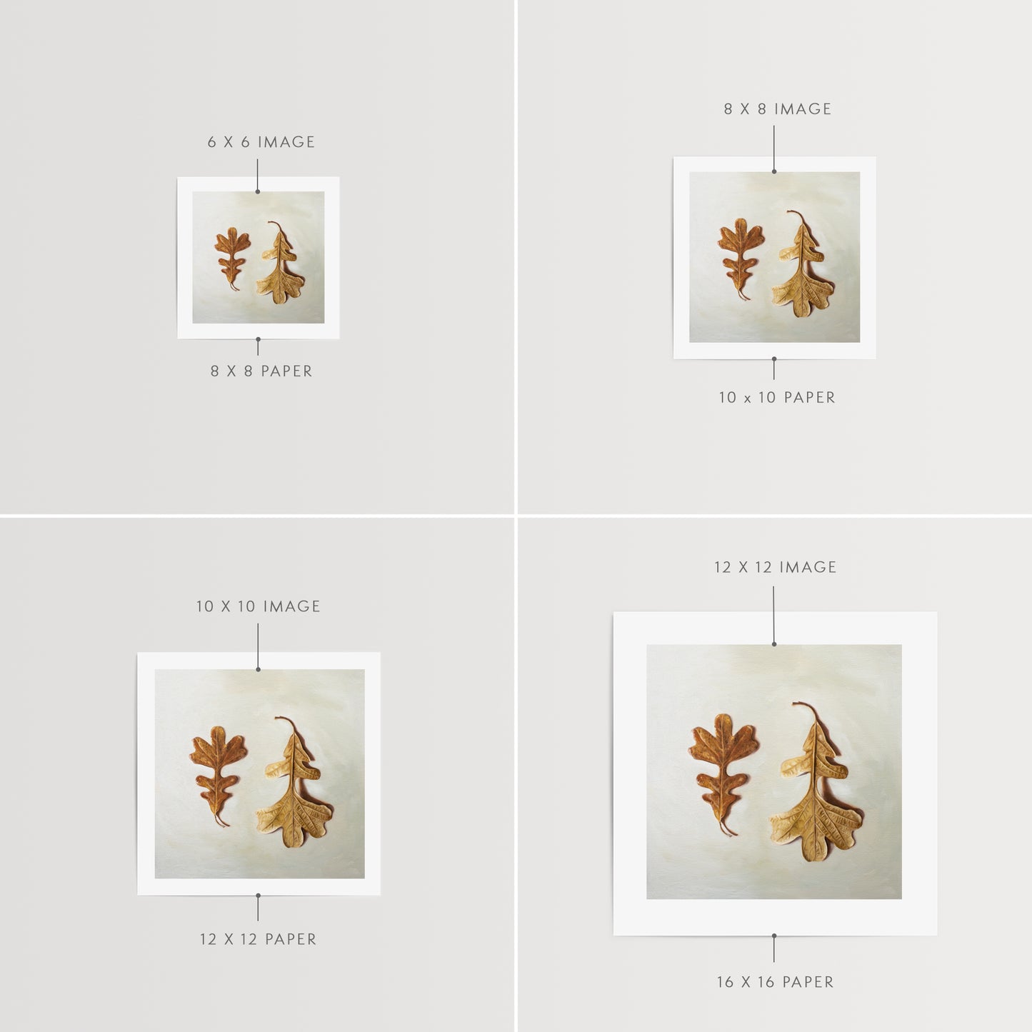 Autumn Oak Tree Leaves Fine Art Print by Lauren Pretorius: a duo of Oak Tree leaves laying on a light surface. One of the leaves faces upwards, while the other is flipped over and upside down.