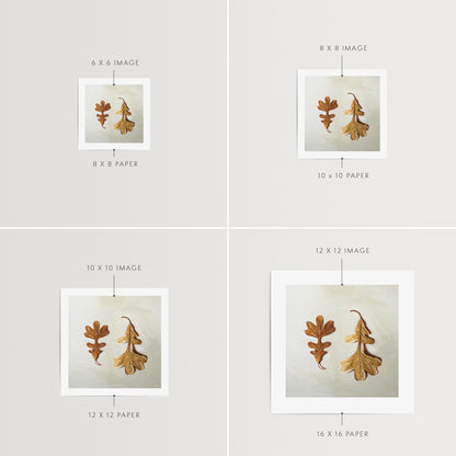 Autumn Oak Tree Leaves Fine Art Print by Lauren Pretorius: a duo of Oak Tree leaves laying on a light surface. One of the leaves faces upwards, while the other is flipped over and upside down.