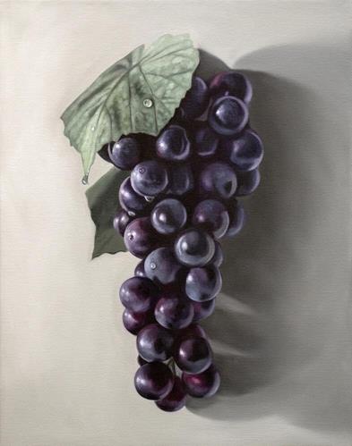 Concord Grapes