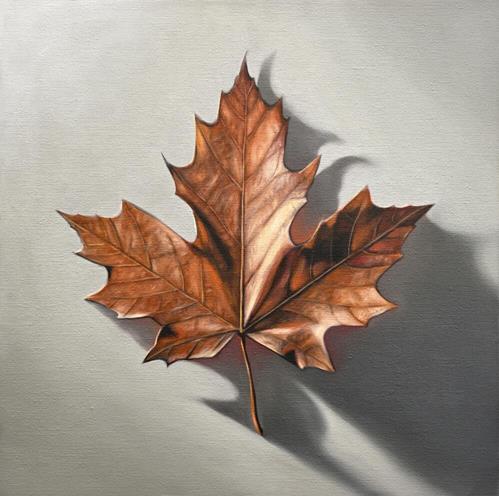 Single Maple Leaf