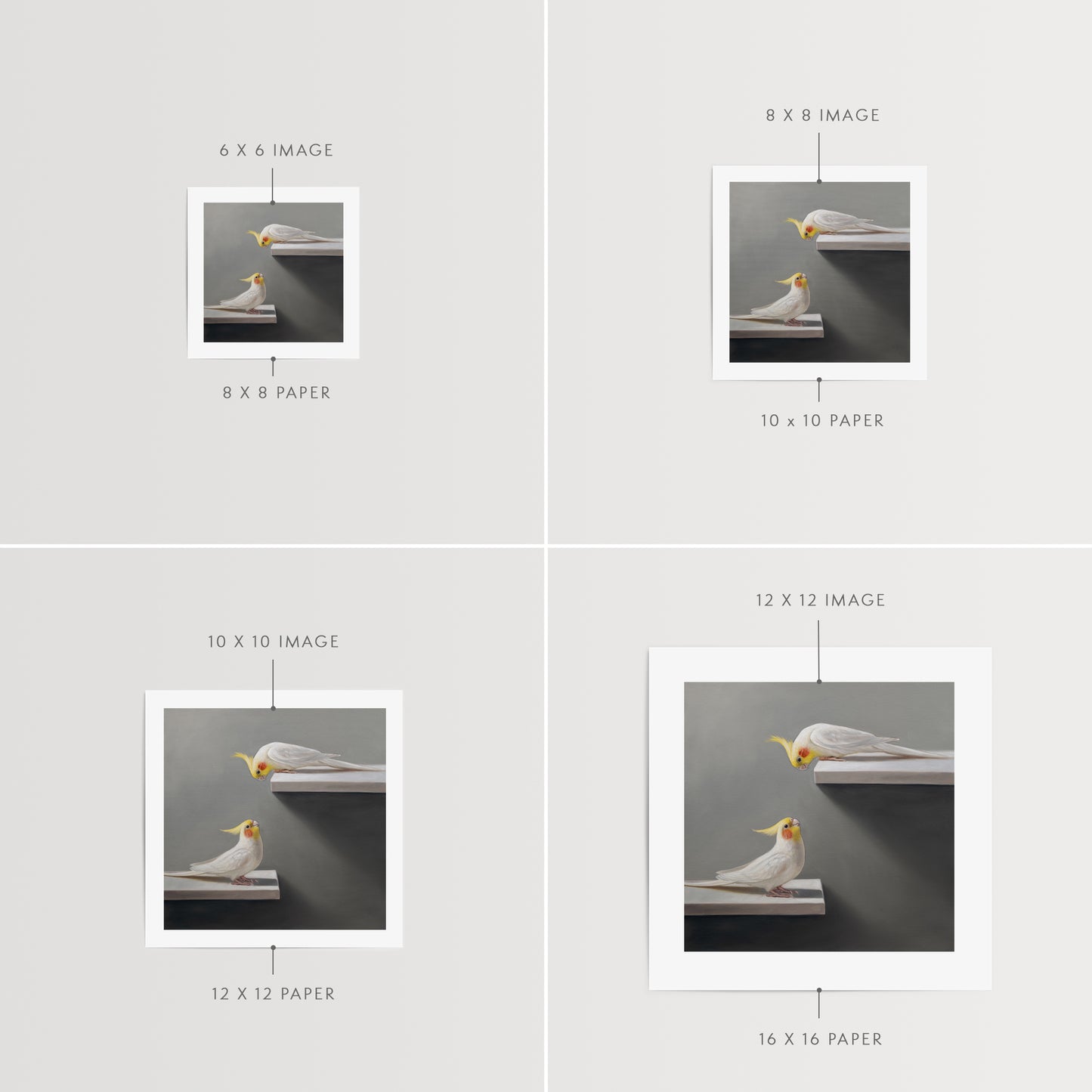 Pair of Cockatiels | Fine Art Print