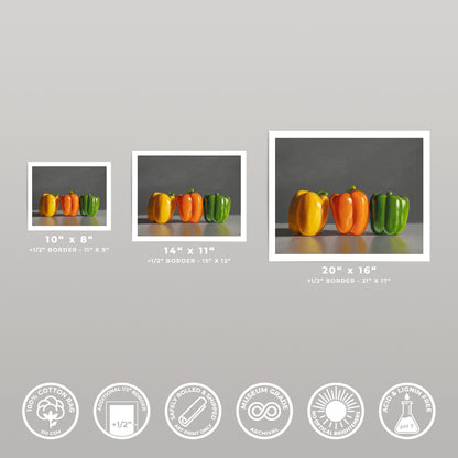 Three fine art prints of bell peppers in yellow, orange, and green, displayed in various sizes.