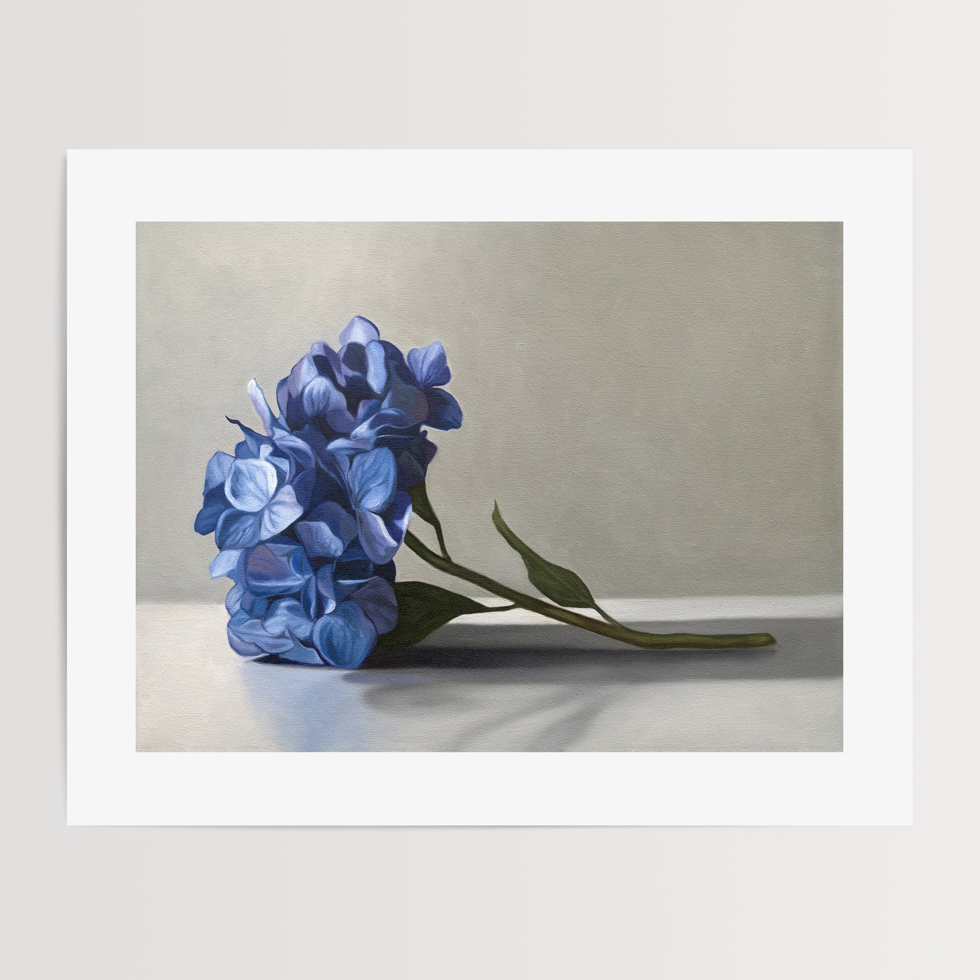 Blue Hydrangeas Fine Art Print by Lauren Pretorius: a bouquet of blue hydrangeas resting on a light surface with a neutral background.