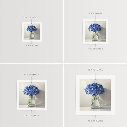 Blue Hydrangeas Fine Art Print by Lauren Pretorius: a bouquet of blue hydrangeas in a glass vase with a light grey neutral background dramatic side-lighting.