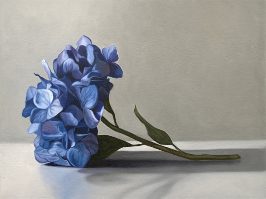 Blue Hydrangeas Fine Art Print by Lauren Pretorius: a bouquet of blue hydrangeas resting on a light surface with a neutral background.