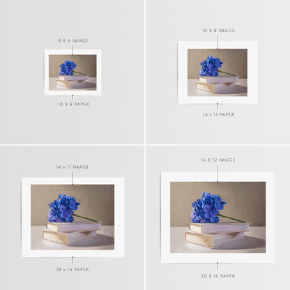 Blue Hydrangeas & Books Fine Art Print by Lauren Pretorius: blue hydrangeas arranged on top of a stack of books.