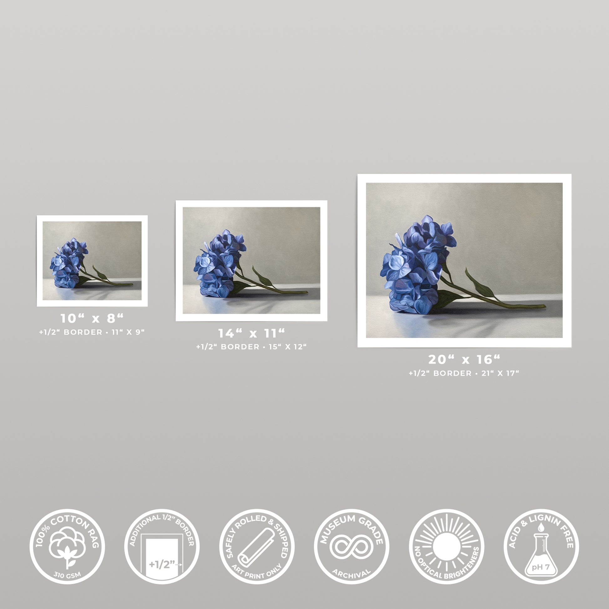 Three blue hydrangea fine art prints in 10x8, 14x11, and 20x16 sizes, with white borders.