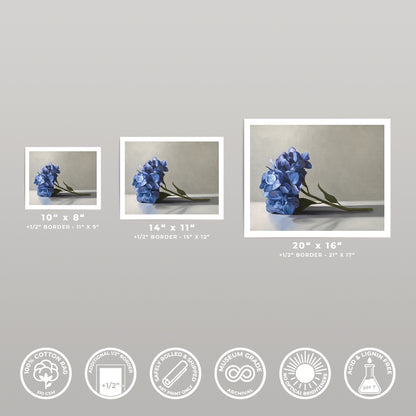 Three blue hydrangea fine art prints in 10x8, 14x11, and 20x16 sizes, with white borders.