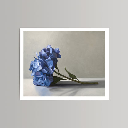 Fine art print of vibrant blue hydrangeas with green leaves on a light background, featuring a white border.