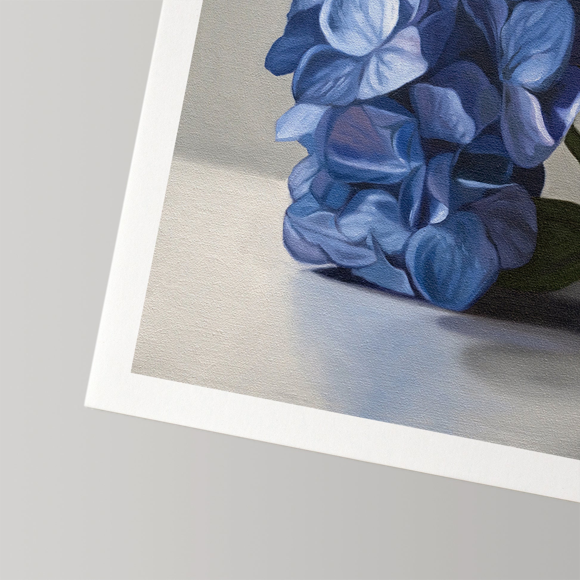 Vibrant blue hydrangea fine art print on textured cotton rag paper with a white border.