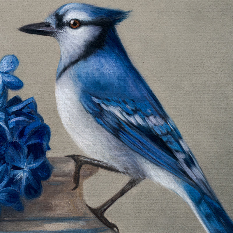 Blue Jay & Hydrangeas 14" x 11" Original Oil Painting by Lauren Pretorius: a Blue jay perched on a vase with blue hydrangea flowers against a neutral background