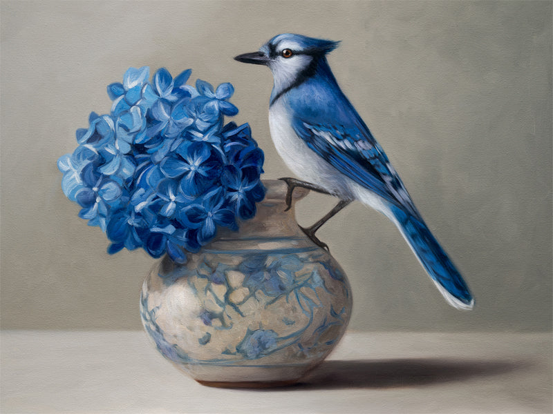 Blue Jay & Hydrangeas Fine Art Print by Lauren Pretorius: a Blue jay perched on a vase with blue hydrangea flowers against a neutral background