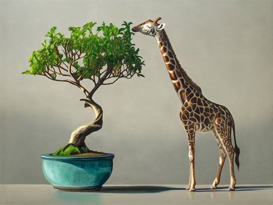 Bonsai & Giraffe Fine Art Print by Lauren Pretorius: a mini giraffe leaning over to eat leaves from a bonsai tree, which is placed in a blue pot.