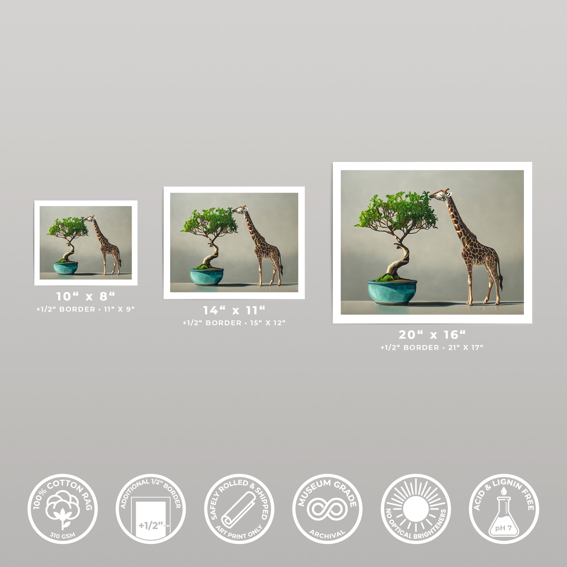 Three art prints of a bonsai tree and giraffe, available in 10x8, 14x11, and 20x16 inches.