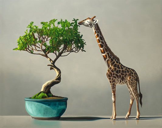 Surreal fine art print: a tall giraffe gently nibbles leaves from a lush green bonsai in a turquoise pot.