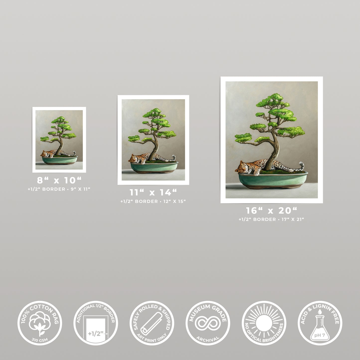 Three fine art prints of a leopard resting under a bonsai tree, available in 8x10, 11x14, and 16x20 inches.
