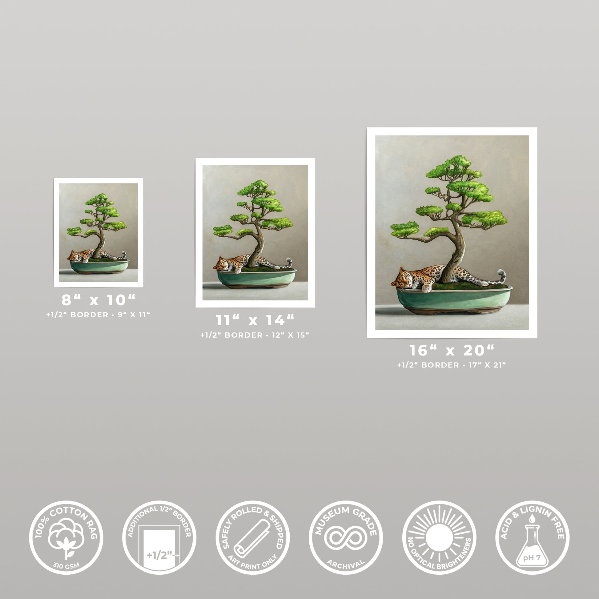 Three fine art prints of a leopard resting under a bonsai tree, available in 8x10, 11x14, and 16x20 inches.