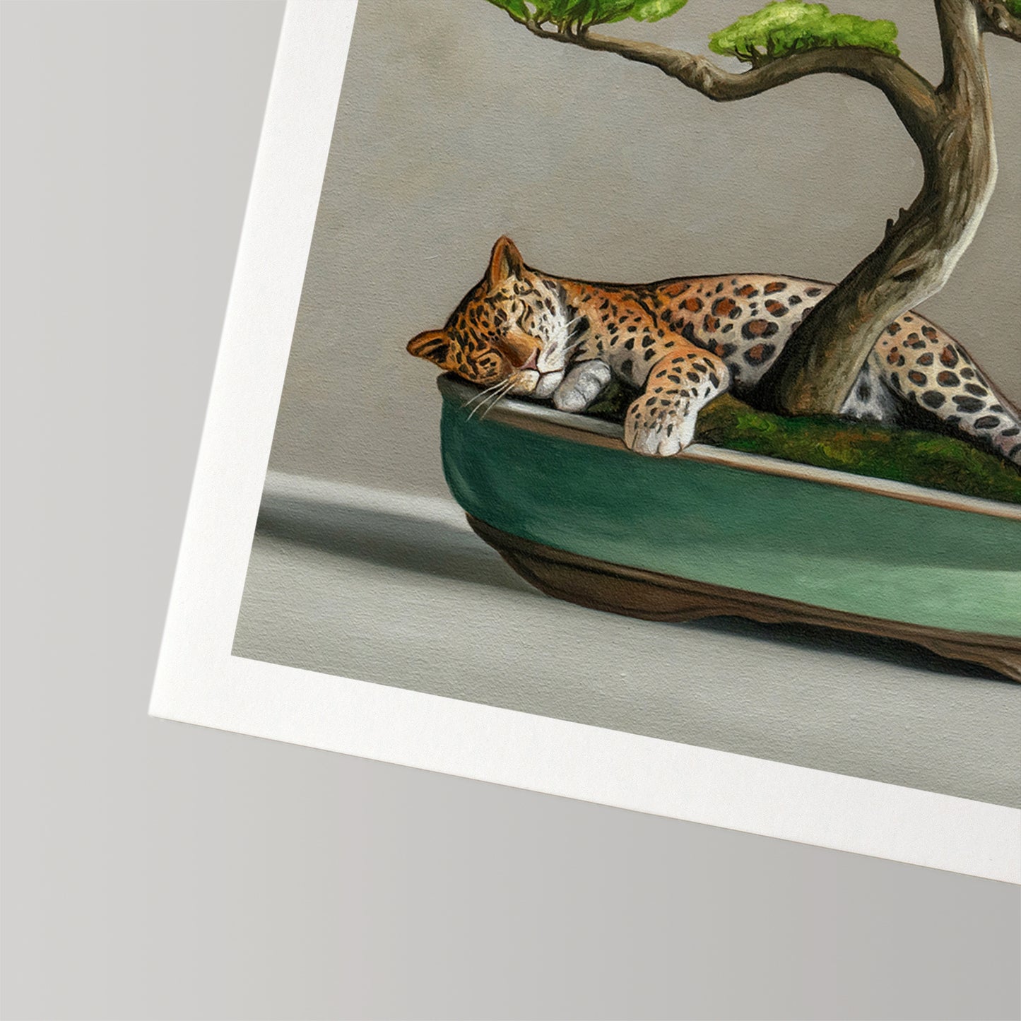 Fine art print featuring a sleeping leopard nestled in a green boat-shaped bonsai pot with a tree.