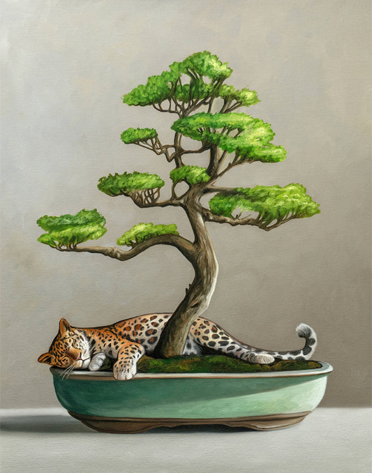 Fine art print of a sleeping leopard nestled under a vibrant green bonsai tree in a teal pot.