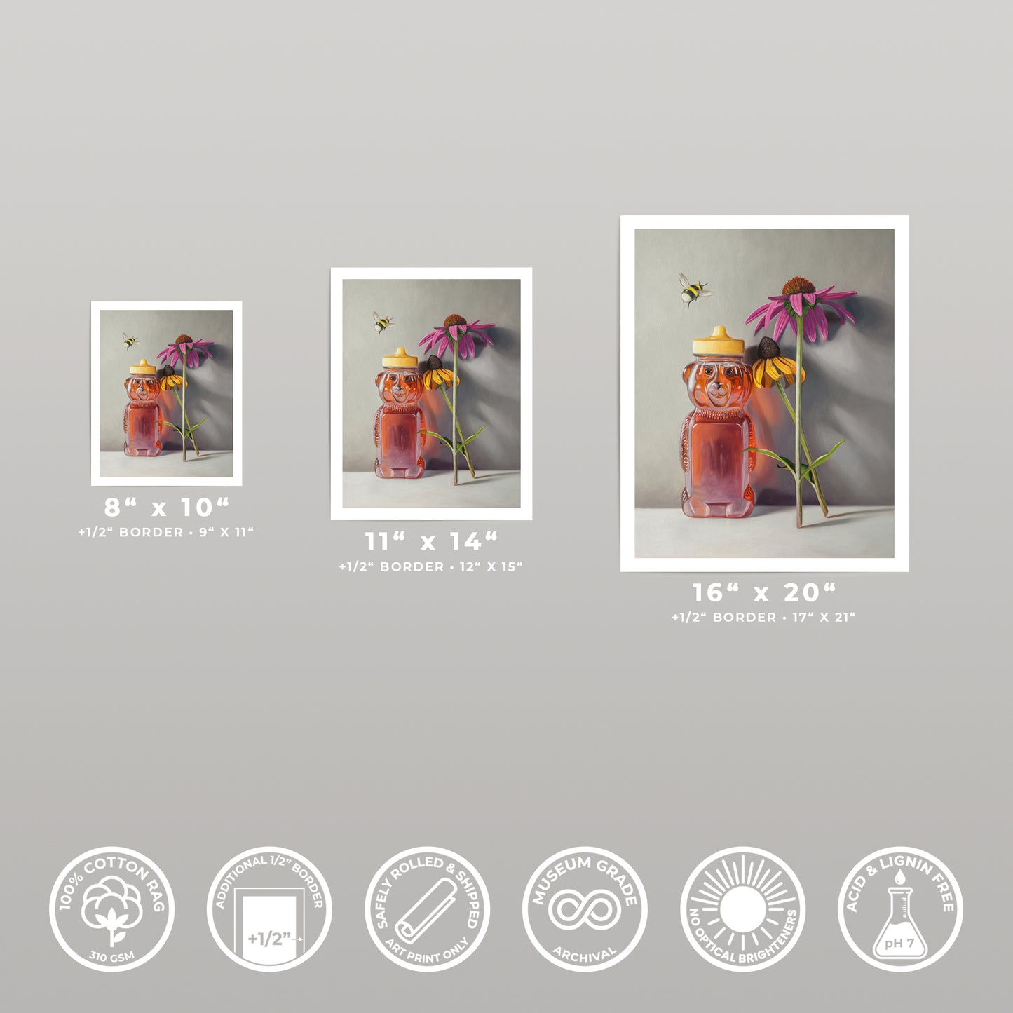 Three fine art prints of a honey bear, bumblebees, and purple coneflowers on cotton rag paper.