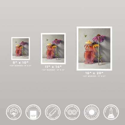 Three fine art prints of a honey bear, bumblebees, and purple coneflowers on cotton rag paper.