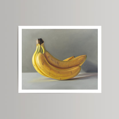 Fine art print of a bunch of ripe yellow bananas with a white border, on a gray background.