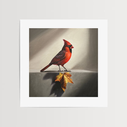 Cardinal & Maple Leaf Fine Art Print by Lauren Pretorius: a red cardinal bird with a maple leaf.