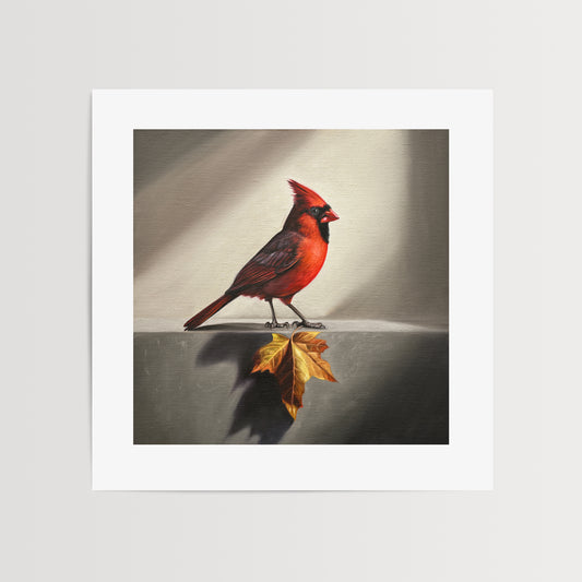 Cardinal & Maple Leaf Fine Art Print by Lauren Pretorius: a red cardinal bird with a maple leaf.