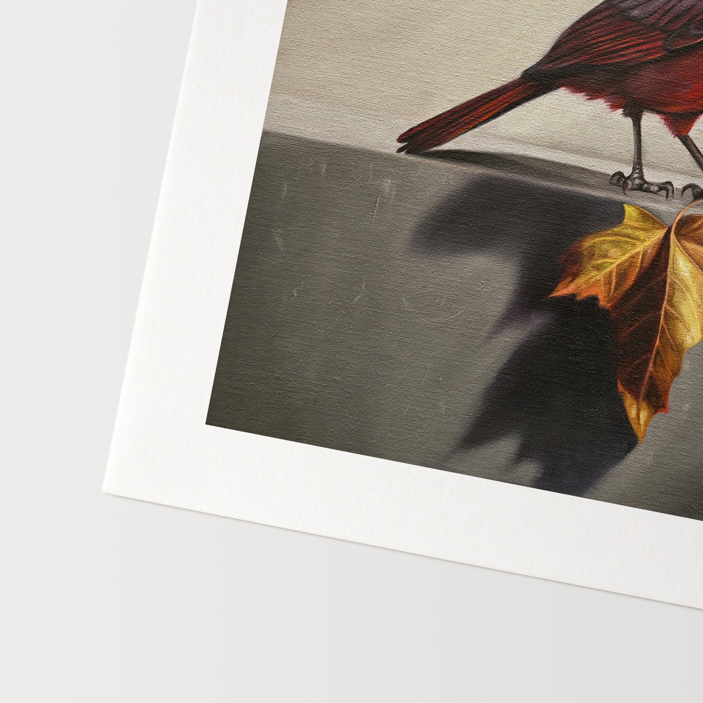 Cardinal & Maple Leaf Fine Art Print by Lauren Pretorius: a red cardinal bird with a maple leaf.