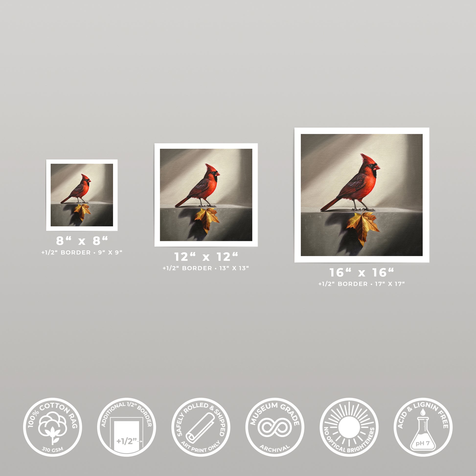 Three square art prints of a red cardinal and maple leaf, shown in 8x8, 12x12, and 16x16 sizes.