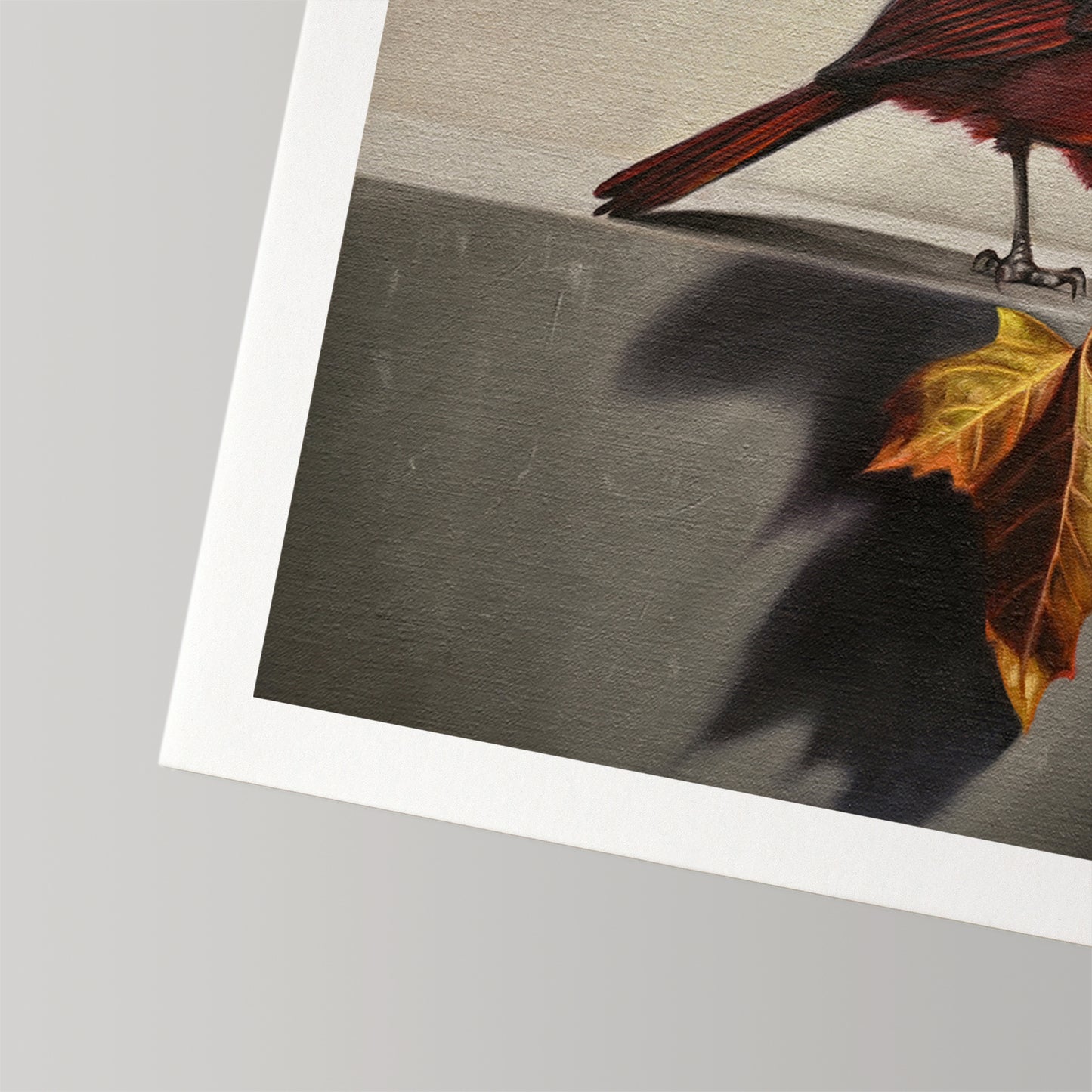 Fine art print of a vibrant red cardinal and a golden maple leaf on museum-grade cotton rag paper.