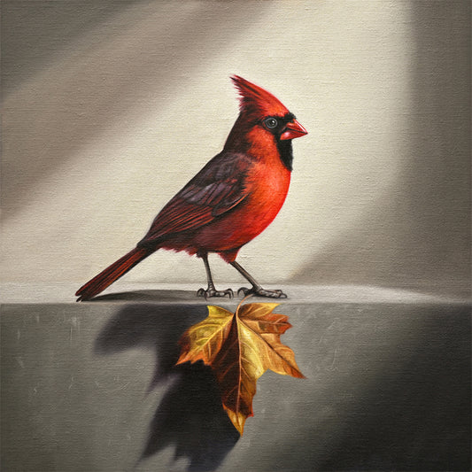 Vibrant red cardinal perched above a golden maple leaf, fine art print with textured canvas background.