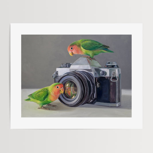 Lovebirds & Camera | Fine Art Print