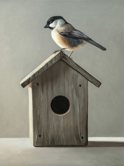 Chickadee & Birdhouse Fine Art Print by Lauren Pretorius: a Chickadee perched don top of a wooden bird house resting on a white surface with grey background.