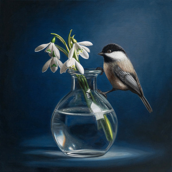 Chickadee perched on a vase with white flowers against a dark blue background