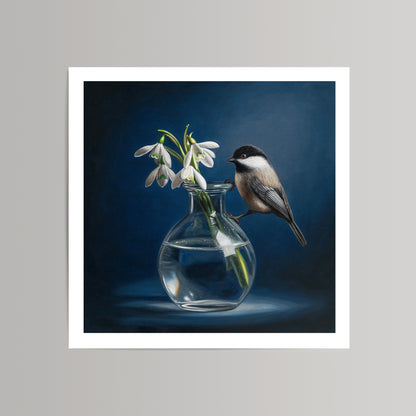 Fine art print of a chickadee perched on a clear vase with white snowdrop flowers against a dark blue background.