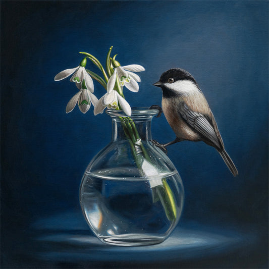 Fine art print of a chickadee perched on a clear glass vase with white snowdrop flowers against a dark blue background.