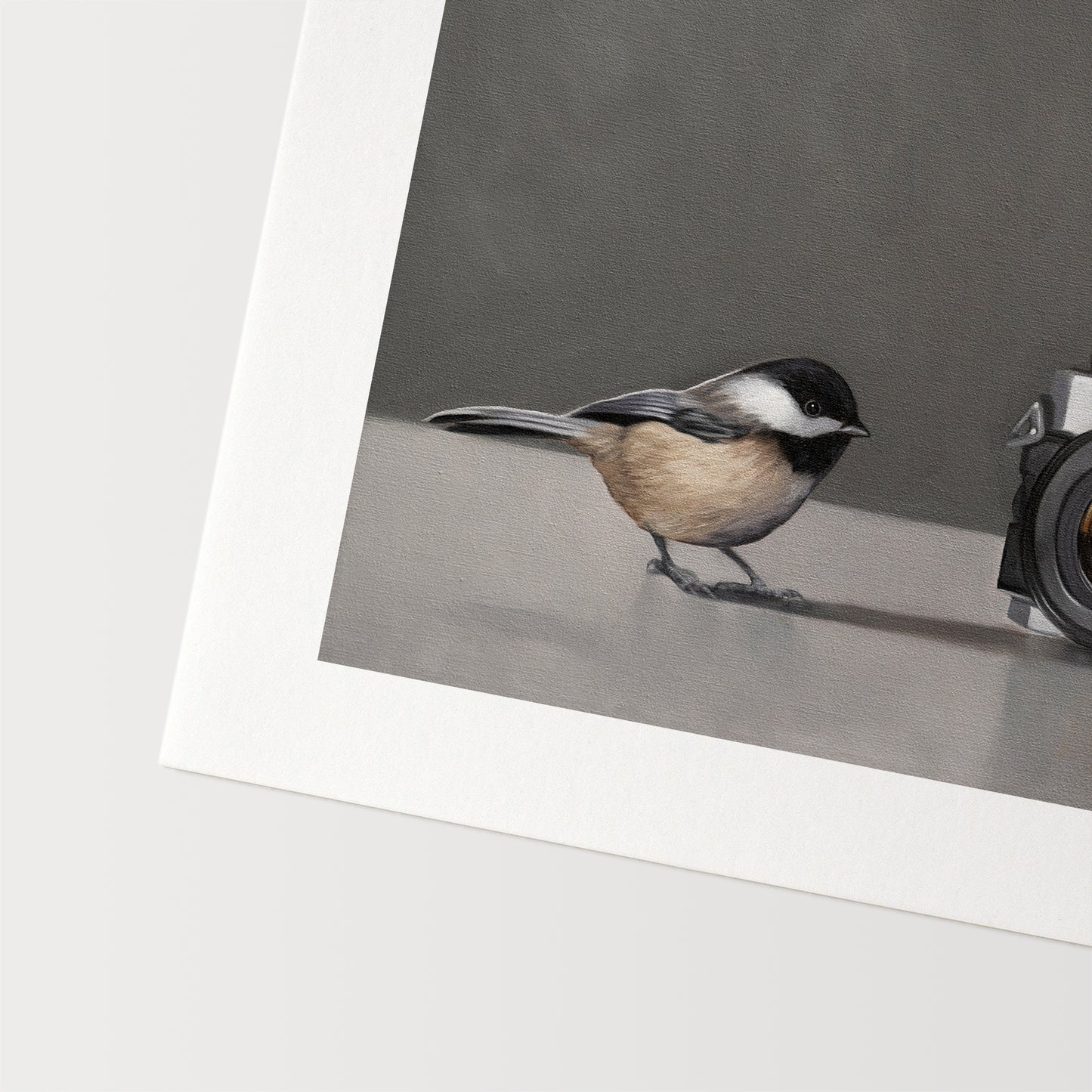 Chickadees & Camera Fine Art Print by Lauren Pretorius: a pair of inquisitive Chickadees investigating a vintage 35mm Canon Camera.