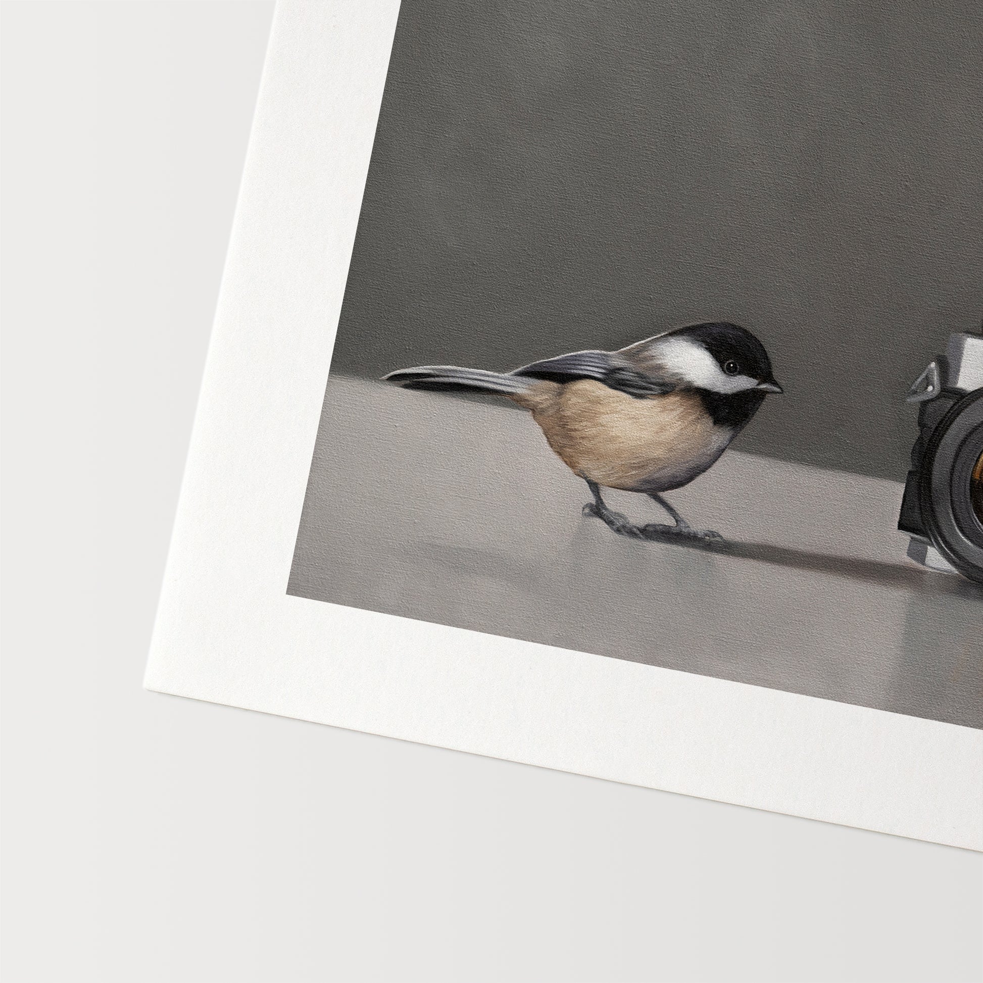 Chickadees & Camera Fine Art Print by Lauren Pretorius: a pair of inquisitive Chickadees investigating a vintage 35mm Canon Camera.