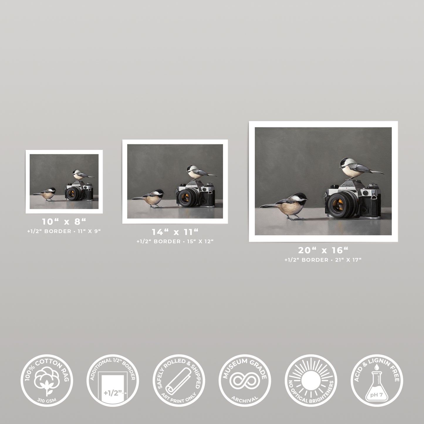Three fine art prints of chickadees and a vintage camera, displayed in various sizes with white borders.