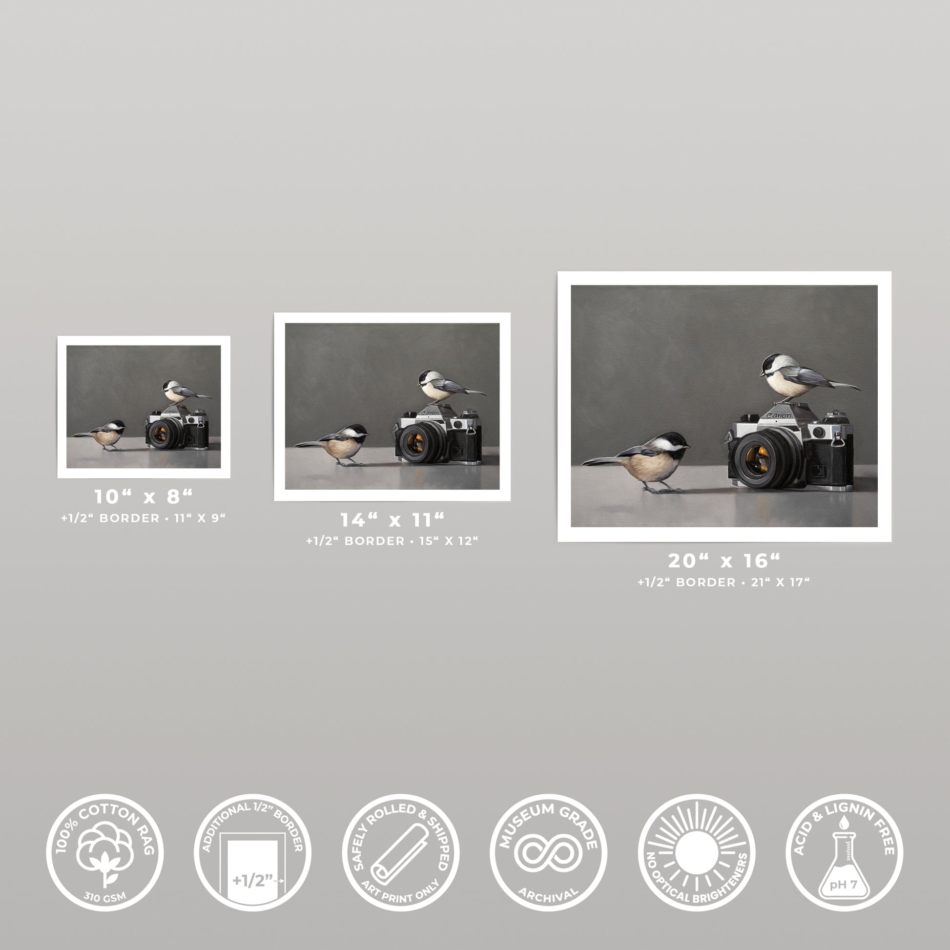 Three fine art prints of chickadees and a vintage camera, displayed in various sizes with white borders.