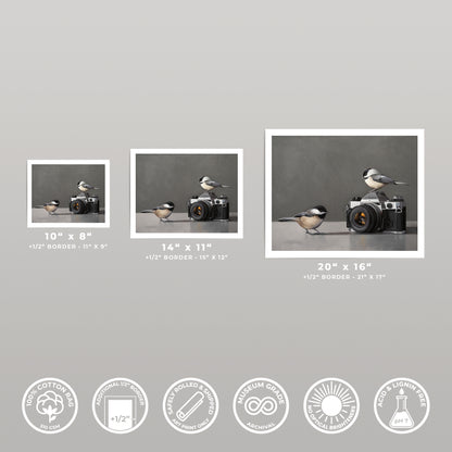 Three fine art prints of chickadees and a vintage camera, displayed in various sizes with white borders.